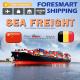 40ft China To Belgium International Sea Freight Services
