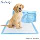 Non-woven Fabric Disposable Dog Pee Pad Training Pad for Free Packaging Customization
