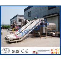 SUS304 SUS316L Fruit Clapboard Elevator Fruit Processing Equipment For Fruit Conveying
