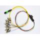 Singlemode MPO Fiber Optic Patch Cord 12 Cores Yellow Color CE Certification