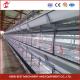 Full Automatic System Pullet Cage With Hot Deep Galvanization H Type Shape Emily
