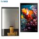 7 Inch 800 X 1280 LCD Module