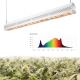 Maximum Yield  Linear LED Grow Light Bars / Led Bloom Lights Trusses Installation