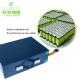 Deep Cycle 36V 48V 60V Lithium Ion Battery For Electric Bicycle Ebike 60ah 70ah