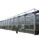 Multi-span Glass Greenhouse Agricultural Instruction with Super Strong Resistance