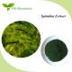 Fresh Natural Plant Extracts Relieve Allergies Spirulina Extract