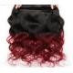 No Lice Ombre  Ombre Human Hair Extensions Long Lasting And Lustrous