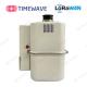 LoRaWAN Remote Smart Gas Meter Wireless LoRaWAN Horizontal Installation For Consumption Monitoring Gas