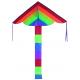 Single Line Delta Wing Kite Easy Assembled With 30m String Line Beginner use