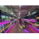 Full Color Transparent Rental Outdoor 2500 Nits P3.91 Transparent LED Screen
