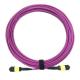 12 Core OM4 Lszh Patch Cable , SENKO Female Mpo Patch Cord Purple Color