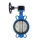 Customized Ductile Iron Resilient Seated Wafer/Lug Type Butterfly Valve OEM Port Size