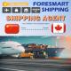 Speedy Door To Door DDP Shipping From China To Canada