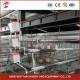 1.6m Wide 4 Tier Layer Cage For Poultry Farmers Rose