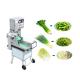SUS 304 stainless steel vegetable cutting machine for catering