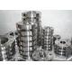 Pipeline Stainless Steel Flanged Fittings , DIN2566 1.4306 Stainless Steel Din Flanges