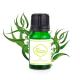 MSDS Pure Plant Essential Oil , 10ml Organic Eucalyptus Essential Oil