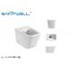 Small Bathroom Wall Outlet Toilet / Wall Hanging Wc Integrated Structure