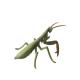 Insect Figures Model Toy Mantis Figurines Party Favors Supplies Cake Toppers Decoration Set Toys