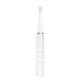 3.7V Sonic Electric Toothbrush