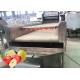 Professional Pear Chips Apple Processing Line 440V Turnkey Project