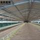 Customized Prefabricated Farm Buildings Easy Install Large Span Steel Buildings