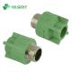Flexible Hot and Cold Water Pipes PPR Pipe Fitting Male Coupling with Brass