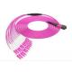 24 Fibers MPO to LC OM4 Fiber Optic MPO-LC 2.0mm Straight harness Cables