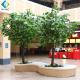 Indoor Decoration Artificial Tree Plant , Artificial Chinese Phoenix Tree