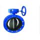 DN200 Mono Flange Butterfly Valve