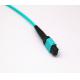 1m 2m 3m MTP MPO Patch Cord For Wide Area Networks Singlemode / Multimode