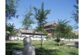 The old monarch of Western Hills in Urumchi travels in the temple  Urumchi of China