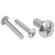Stainless Steel ANSI AISI 304 316 Phillips Drive Cross Recessed Truss Head Screw GB973