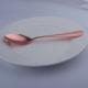 Newto Stainless steel cutlery/rose color flatware/wedding cutlery/table spoon