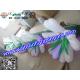 Giant  Flower Inflatable Decoration With LED , Inflatable Flower Chain Decoration