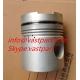 Cummins Nt855 diesel Engine part Piston 3051556 3048650 3253953 3095739