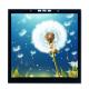 3.95 inch Capacitive IPS LCD Touch Screen Display 350 Nits High Brightness