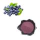 Pure Natural Fruit Powder Blueberry Powder Extract Anthocyanin Bilberry Extract Powder