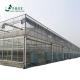 Inside Shading System Mushroom Greenhouse Equipment for Vegetable Fruits and Flowers