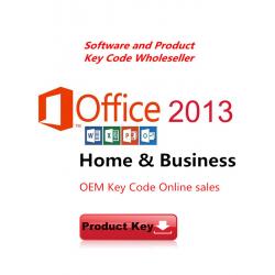 OEM Microsoft Office Professional Plus 2013