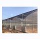 8m Span Width Poly Tunnel Greenhouse For High Yield Tomato Cultivation