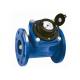 DN100 PN16 Flange Port Woltman Water Meter Ductile Iron Housing With Positive Displacement