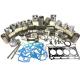 3054 Engine Overhaul Rebuild Kit For Reman 