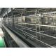 No Spring  Reliable Poultry Farm Water System  360 Degree Water Outlet