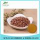 Chinese Herbal Medicine Loss Weight Product Radish Seed Extract