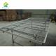 Agricultural Commercial Greenhouse Tables 55-65kg/M2 Vegetable Growing Table