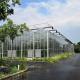 Hydroponics System Multi Span Glass Greenhouse Aeroponic Tower Garden