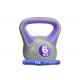 Men And Women'S 2kgs Home Fitness Kettlebell Plastic Filled With Cement