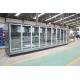 Remote Multideck Swing Glass Door Display Freezer with Remote Copeland  Condensing Unit for Frozen Foods