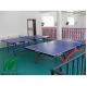 Vinly Indoor Table Tennis sports pvc flooring